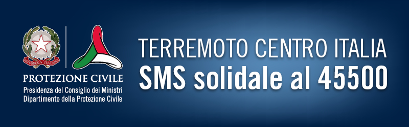 sms solidale orizz blu d0